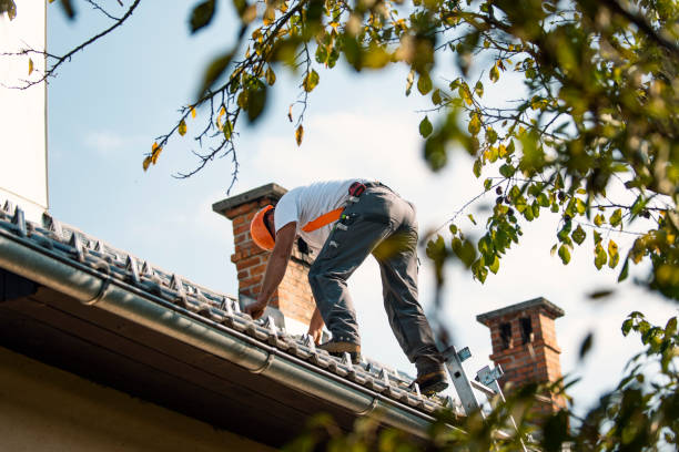 Best Roof Repair Services  in Darlington, WI