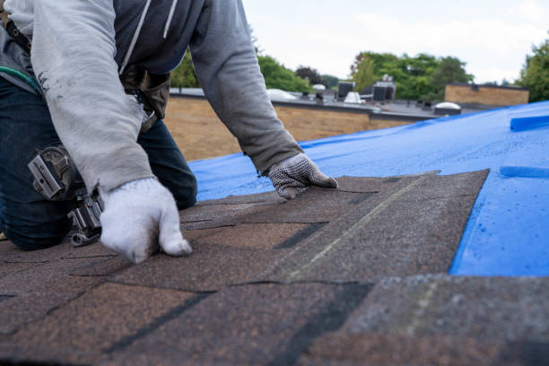 Best Residential Roofing Contractor  in Darlington, WI