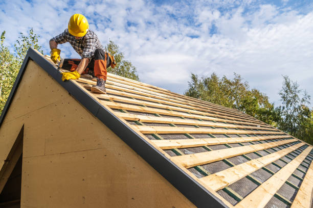 Best Gutter Installation and Roofing  in Darlington, WI