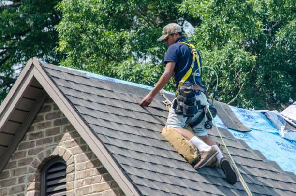 Professional Roofing Contractor in Darlington, WI